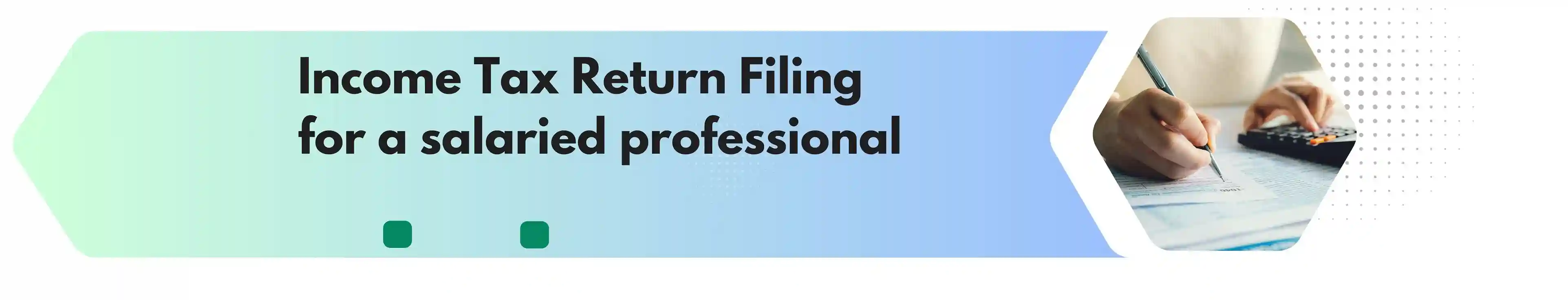 Income Tax Return Filing